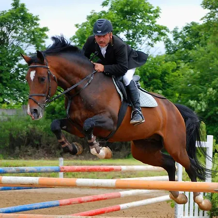 بيت ضيافة Jezdecke Centrum Kocik Stružná