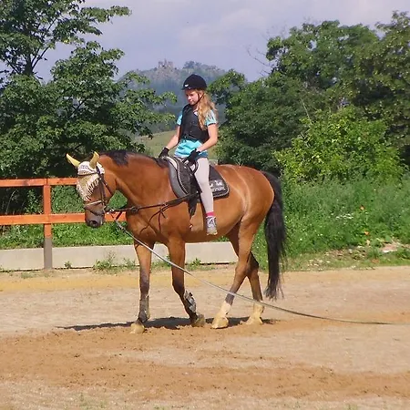 بيت ضيافة Jezdecke Centrum Kocik